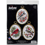 Janlynn Embroidery Kit 3"X4" Set of 3, Winter Birds-Stitched In Floss