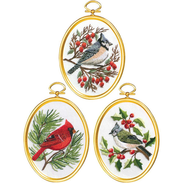 Janlynn Embroidery Kit 3"X4" Set of 3, Winter Birds-Stitched In Floss