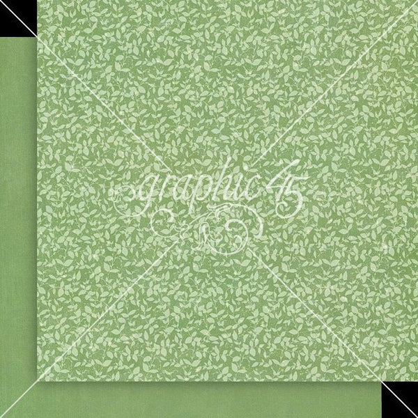 Graphic 45, Fairy Boutique Double-Sided Cardstock 12"X12", Spring Green Pattern & Solid (4503055)