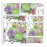 AALL & Create, Layer-It-Up Washi Tape, #70, Thriving Terrarium