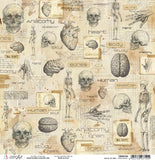 Ciao Bella Double-Sided Cardstock 90lb 12"X11.6", Sign Of The Times, Human Anatomy