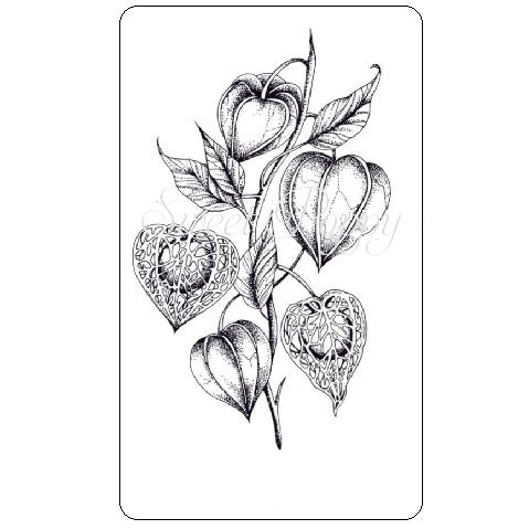 Sweet Poppy Stencil: Clear Stamp, Chinese Lantern Flower