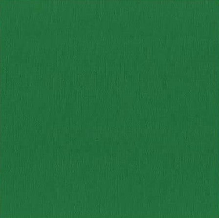 Bazzill Mono Cardstock 12"X12", Classic Green/Canvas, 80lbs