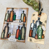 Creative Expressions, Clear Stamp Set 6"X8", By Sam Poole, Halloween Frogs