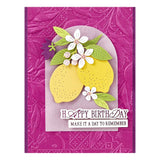 Spellbinders 3D Embossing Folder From La Dolce Vita, Lemon Fresco (E3D-134)
