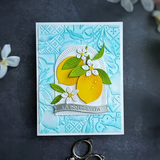 Spellbinders 3D Embossing Folder From La Dolce Vita, Lemon Fresco (E3D-134)