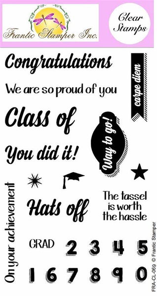 Frantic Stamper 4"x 6" Clear Polymer Stamps, You Did It!