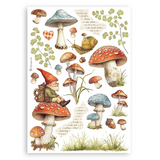 Stamperia, A5 Washi Pad 8/Pkg, Hidden Grove (SBW17)