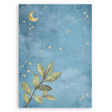 Stamperia, A5 Washi Pad 8/Pkg, Hidden Grove (SBW17)