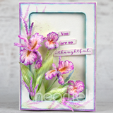 Heartfelt Creations Iris Garden Collection, Cling Rubber Stamp Set, Iris Garden Petals