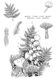 Katkin Krafts, 6"x8" Clear Stamps Set, Ferns and Fungi