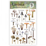 Lavinia, Stickers, Assorted (Please select an option from the drop-down menu)