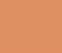 Bazzill Smoothies Cardstock 12"X12" (80lb), Marmalade Blast