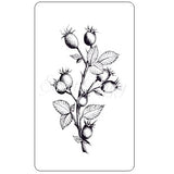 Sweet Poppy Stencil: A6 Clear Stamp, Rose Hip