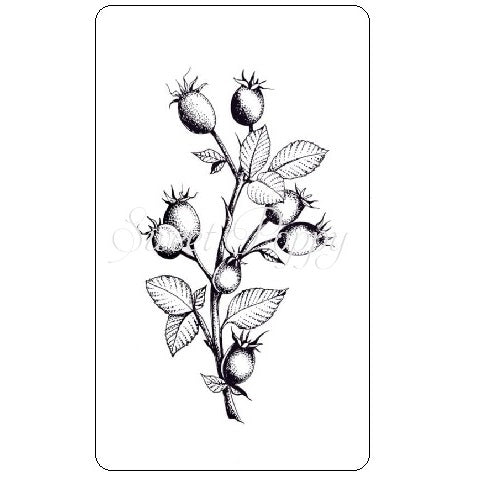 Sweet Poppy Stencil: A6 Clear Stamp, Rose Hip