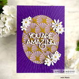 Spellbinders Etched Dies, You’re Amazing (S4-1203)