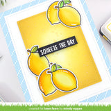 Lawn Fawn Clear Stamps 3"X2", You're The Zest (LF3015)