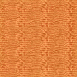 PhotoPlay, A Day At The Zoo Double-Sided Cardstock 12"X12", Zootastic