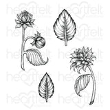 Heartfelt Creations, Dazzling Dahlia Collection, Cling Stamps & Dies Set Combo, Dahlia and Leaves