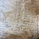 PaperArtsy, Infusions Dye CS25 - Just Walnut