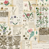 Simple Stories, Simple Vintage Botanicals Collection, 12"x12" Double-Sided Cardstock, Collect Moments