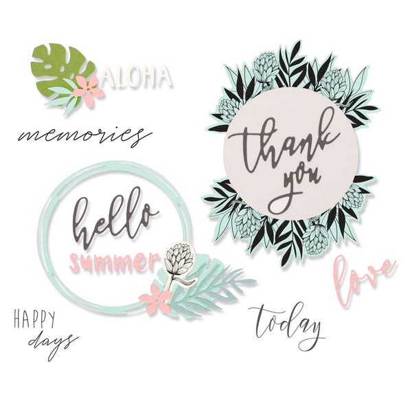 Sizzix Framelits Die & Stamp Set By Sophie Guilar 13/Pkg, Detailed Tropics