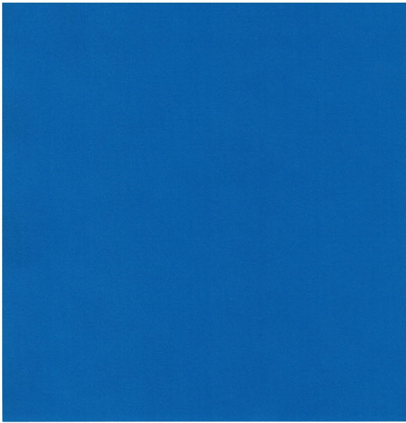 Bazzill Card Shoppe Heavyweight Cardstock 12"X12", Whirlypop