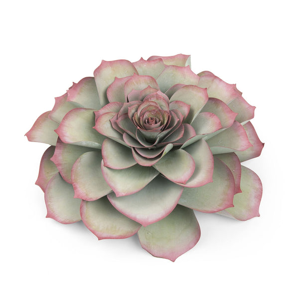 Sizzix, Framelits Die Set 5PK by David Tutera, Large Succulent (10 1/2" x 10 1/2" Assembled)