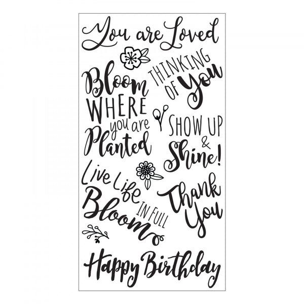 Sizzix, Clear Stamps By Lindsey Serata, Blooming Sentiments (Retired)