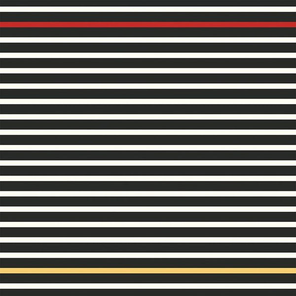 Photo Play, ColorPlay, A Day At The Park, Double-Sided Cardstock 12"x12", Black Stripe/Red