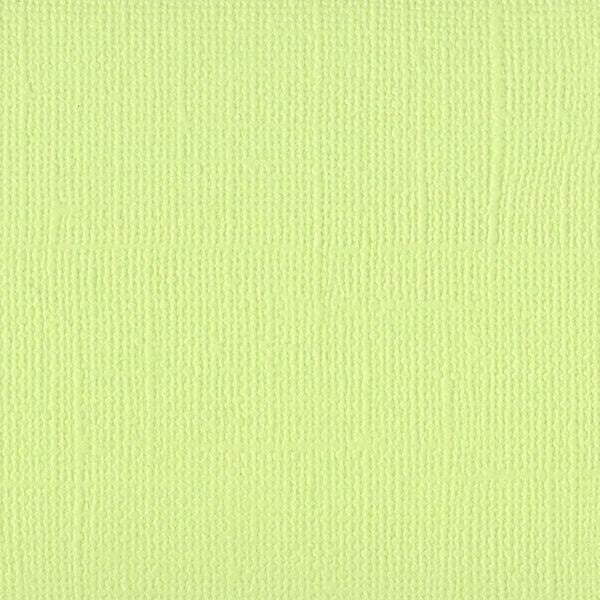 Bazzill Mono Cardstock 12"X12", Limeade/Canvas, 80lbs