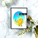 Hero Arts Color Layering Clear Stamps 4"X6", Duckling