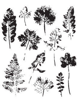 Tim Holtz, Stamp Set: Leaf Prints