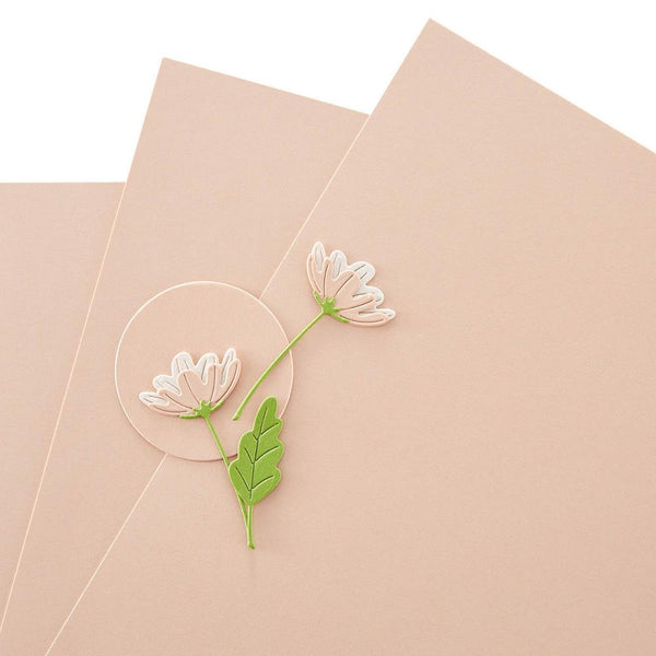 Spellbinders Color Essentials Cardstock 8.5"X11", Double-Sided, Peach Sorbet (100#) (Sold Individually)