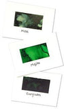 Tim Holtz Alcohol Ink .5oz 3/Pkg (Mojito, Moss & Everglades)