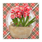 Spellbinders, Amaryllis Etched Dies from Susan's Holiday Flora Collection by Susan Tierney-Cockburn