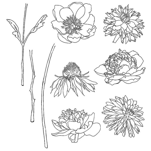 Stampers Anonymous, Tim Holtz Cling Stamps - Flower Garden - Scrapbooking Fairies