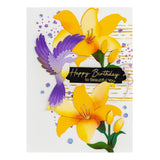 Spellbinders Stencil, Hummingbird Textures (STN-040)