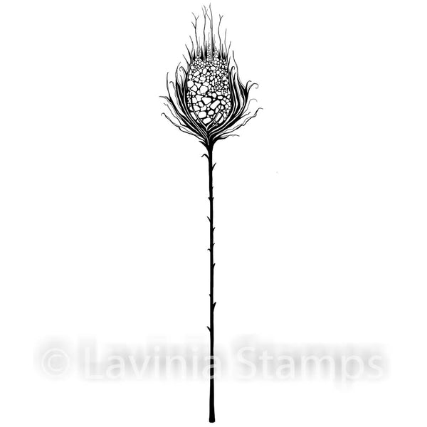 Lavinia Stamps, Star Burst (LAV544), Clear Stamp