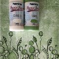 PaperArtsy, Fresco Finish Chalk Acrylics Paint - Lawn (Opaque)