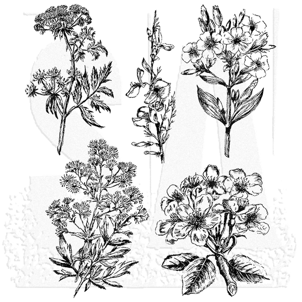 Tim Holtz Cling Stamps 7"X8.5", Illustrated Garden