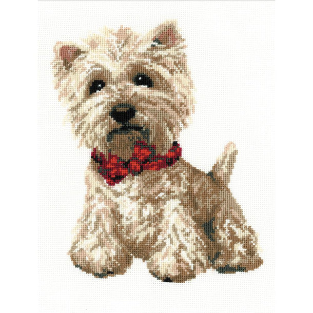 Cross Stitch/Embroidery