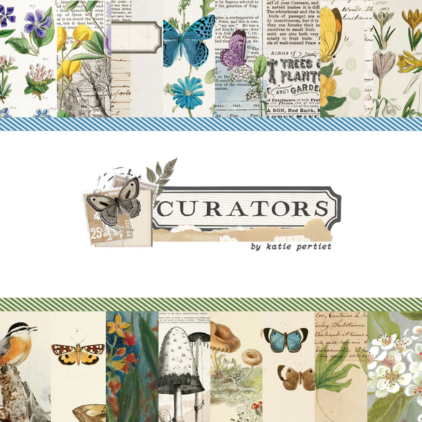 49 & Market - Curators