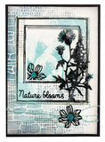Studio Light, Clear Stamps by Hazel Eaton, Nature's Dream 2, Botanicals