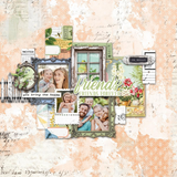 Arden Creative Studio, PET Tape Set, Field Notes