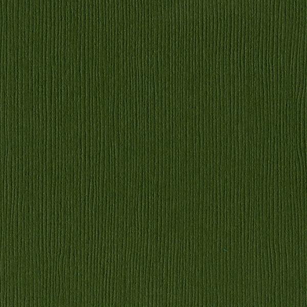 Bazzill Fourz Cardstock 12"X12", Rain Forest/Canvas, 80lbs (300917)
