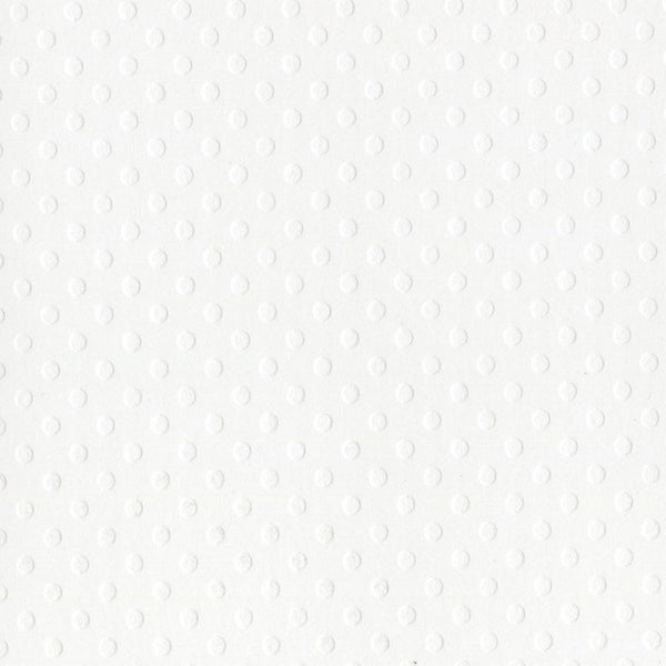 Bazzill Dotted Swiss Cardstock 12"X12", Salt (80lb)