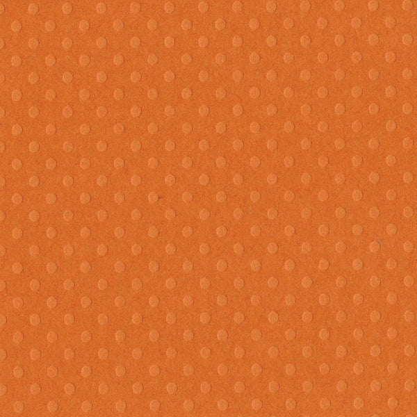Bazzill Dotted Swiss Cardstock 12"X12", Festive/Dotted Swiss (309272)