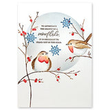 Penny Black, Cling Stamp, Feathered Friends