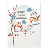 Penny Black, Cling Stamp, Feathered Friends (40-910)